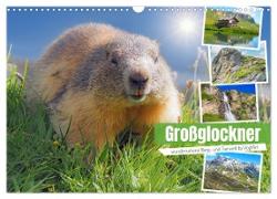 Großglockner wunderschöne Berg- und Tierwelt (Wandkalender 2024 DIN A3 quer), CALVENDO Monatskalender