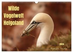 Wilde Vogelwelt Helgoland (Wandkalender 2024 DIN A3 quer), CALVENDO Monatskalender