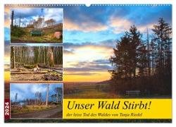 Unser Wald Stirbt (Wandkalender 2024 DIN A2 quer), CALVENDO Monatskalender