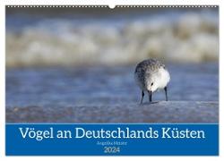 Vögel an Deutschlands Küsten (Wandkalender 2024 DIN A2 quer), CALVENDO Monatskalender