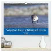 Vögel an Deutschlands Küsten (hochwertiger Premium Wandkalender 2024 DIN A2 quer), Kunstdruck in Hochglanz