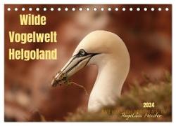 Wilde Vogelwelt Helgoland (Tischkalender 2024 DIN A5 quer), CALVENDO Monatskalender