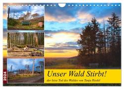 Unser Wald Stirbt (Wandkalender 2024 DIN A4 quer), CALVENDO Monatskalender