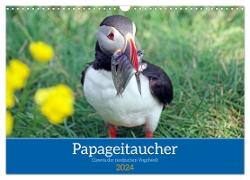 Papageitaucher - Clowns der nordischen Vogelwelt (Wandkalender 2024 DIN A3 quer), CALVENDO Monatskalender
