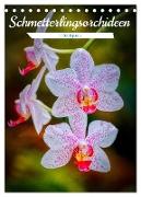 Schmetterlingsorchideen in High Dynamic (Tischkalender 2024 DIN A5 hoch), CALVENDO Monatskalender