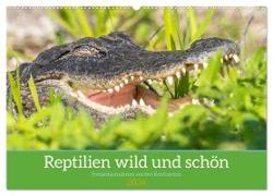 Reptilien wild und schön (Wandkalender 2024 DIN A2 quer), CALVENDO Monatskalender