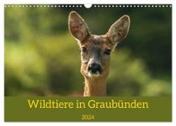 Wildtiere in Graubünden (Wandkalender 2024 DIN A3 quer), CALVENDO Monatskalender