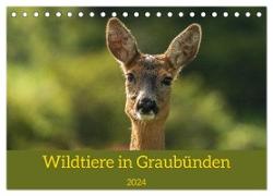 Wildtiere in Graubünden (Tischkalender 2024 DIN A5 quer), CALVENDO Monatskalender