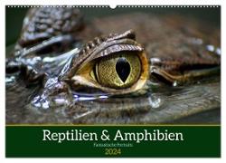 Reptilien & Amphibien Portraits (Wandkalender 2024 DIN A2 quer), CALVENDO Monatskalender