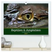 Reptilien & Amphibien Portraits (hochwertiger Premium Wandkalender 2024 DIN A2 quer), Kunstdruck in Hochglanz