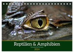 Reptilien & Amphibien Portraits (Tischkalender 2024 DIN A5 quer), CALVENDO Monatskalender