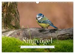 SINGVÖGEL - Die prächtigen Sänger in schönem Ambiente. (Wandkalender 2024 DIN A3 quer), CALVENDO Monatskalender