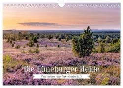Die Lüneburger Heide - Faszination einer Naturlandschaft (Wandkalender 2024 DIN A4 quer), CALVENDO Monatskalender