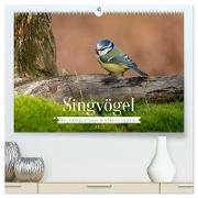 SINGVÖGEL - Die prächtigen Sänger in schönem Ambiente. (hochwertiger Premium Wandkalender 2024 DIN A2 quer), Kunstdruck in Hochglanz