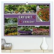 Erfurt erblüht (hochwertiger Premium Wandkalender 2024 DIN A2 quer), Kunstdruck in Hochglanz