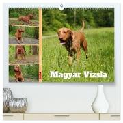 Faszination Magyar Vizsla (hochwertiger Premium Wandkalender 2024 DIN A2 quer), Kunstdruck in Hochglanz