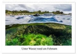 Unter Wasser rund um Fehmarn (Wandkalender 2024 DIN A2 quer), CALVENDO Monatskalender