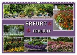 Erfurt erblüht (Wandkalender 2024 DIN A3 quer), CALVENDO Monatskalender
