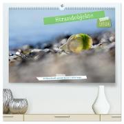 Strandobjekte (hochwertiger Premium Wandkalender 2024 DIN A2 quer), Kunstdruck in Hochglanz