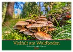 Vielfalt am Waldboden (Wandkalender 2024 DIN A2 quer), CALVENDO Monatskalender
