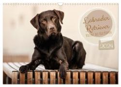 Labrador Retriever - Vielfalt auf Vier Pfoten (Wandkalender 2024 DIN A3 quer), CALVENDO Monatskalender