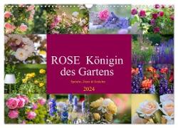 Rose Königin des Gartens (Wandkalender 2024 DIN A3 quer), CALVENDO Monatskalender