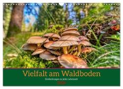 Vielfalt am Waldboden (Wandkalender 2024 DIN A3 quer), CALVENDO Monatskalender