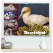 Faszination Basstölpel (hochwertiger Premium Wandkalender 2024 DIN A2 quer), Kunstdruck in Hochglanz