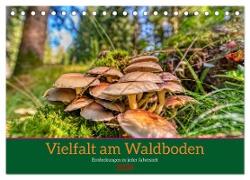 Vielfalt am Waldboden (Tischkalender 2024 DIN A5 quer), CALVENDO Monatskalender