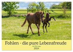 Fohlen - die pure Lebensfreude (Wandkalender 2024 DIN A2 quer), CALVENDO Monatskalender