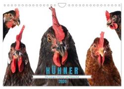 Die lustigen Hühner aus Mosenhof (Wandkalender 2024 DIN A4 quer), CALVENDO Monatskalender