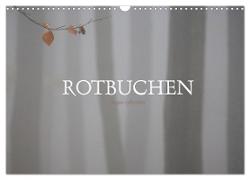 Rotbuchen (Wandkalender 2024 DIN A3 quer), CALVENDO Monatskalender