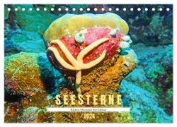 Seesterne - Kleine Wunder der Natur (Tischkalender 2024 DIN A5 quer), CALVENDO Monatskalender