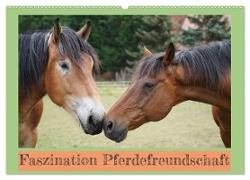 Faszination Pferdefreundschaft (Wandkalender 2024 DIN A2 quer), CALVENDO Monatskalender