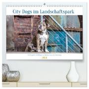 City Dogs im Landschaftspark (hochwertiger Premium Wandkalender 2024 DIN A2 quer), Kunstdruck in Hochglanz