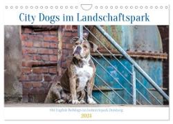 City Dogs im Landschaftspark (Wandkalender 2024 DIN A4 quer), CALVENDO Monatskalender