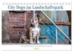 City Dogs im Landschaftspark (Tischkalender 2024 DIN A5 quer), CALVENDO Monatskalender
