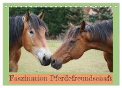 Faszination Pferdefreundschaft (Tischkalender 2024 DIN A5 quer), CALVENDO Monatskalender