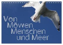 Von Möwen, Menschen und Meer (Wandkalender 2024 DIN A4 quer), CALVENDO Monatskalender