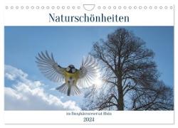 Naturschönheiten im Biosphärerenreservat Rhön (Wandkalender 2024 DIN A4 quer), CALVENDO Monatskalender
