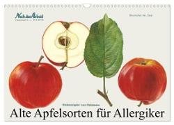 Alte Apfelsorten für Allergiker (Wandkalender 2024 DIN A3 quer), CALVENDO Monatskalender