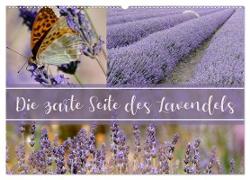 Die zarte Seite des Lavendels (Wandkalender 2024 DIN A2 quer), CALVENDO Monatskalender