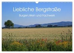 Liebliche Bergstraße - Burgen, Wein und Fachwerk (Wandkalender 2024 DIN A3 quer), CALVENDO Monatskalender