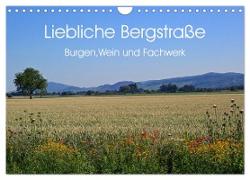 Liebliche Bergstraße - Burgen, Wein und Fachwerk (Wandkalender 2024 DIN A4 quer), CALVENDO Monatskalender