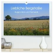 Liebliche Bergstraße - Burgen, Wein und Fachwerk (hochwertiger Premium Wandkalender 2024 DIN A2 quer), Kunstdruck in Hochglanz