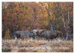 Der Elch - König der skandinavischen Wälder (Wandkalender 2024 DIN A2 quer), CALVENDO Monatskalender