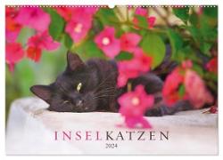 Inselkatzen (Wandkalender 2024 DIN A2 quer), CALVENDO Monatskalender