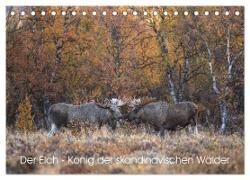 Der Elch - König der skandinavischen Wälder (Tischkalender 2024 DIN A5 quer), CALVENDO Monatskalender