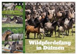 Faszination Wildpferdefang in Dülmen (Tischkalender 2024 DIN A5 quer), CALVENDO Monatskalender