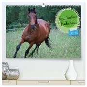Faszination Trakehner (hochwertiger Premium Wandkalender 2024 DIN A2 quer), Kunstdruck in Hochglanz